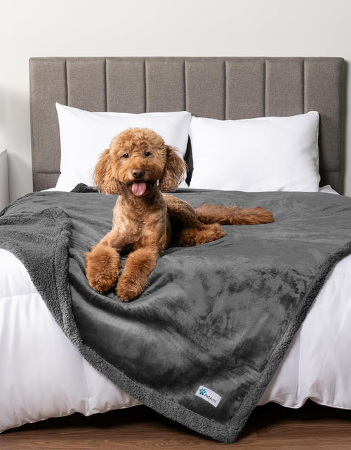 Load image into Gallery viewer, Waterproof Dog Blanket for Bed, Couch, Sofa | Waterproof Dog Bed Cover for Large Dogs, Puppies | Sherpa Fleece Pet Blanket Furniture Protector | Reversible Microfiber
