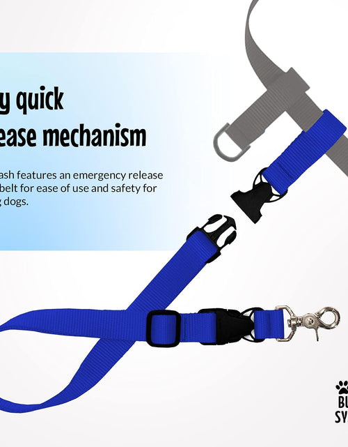 Load image into Gallery viewer, Hands Free Dog Leash, Adjustable Leash for Running, Jogging, Training and Service Dogs, Great for Small, Medium and Large Dogs, Made in USA (Royal Blue, Large Belt (27"- 50" Waist))
