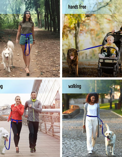 Load image into Gallery viewer, Hands Free Dog Leash, Adjustable Leash for Running, Jogging, Training and Service Dogs, Great for Small, Medium and Large Dogs, Made in USA (Royal Blue, Large Belt (27"- 50" Waist))
